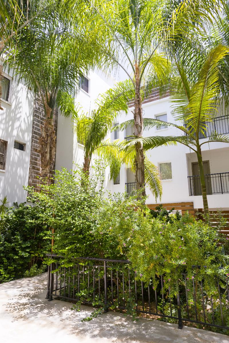 Alecos Hotel Apts - Genel