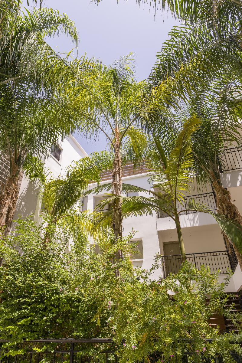 Alecos Hotel Apts - Genel