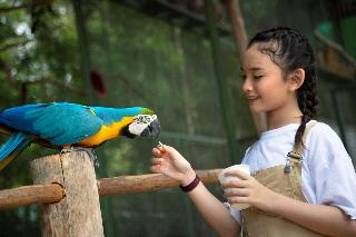 Wyndham Panbil Batam fotoÄŸrafÄ±