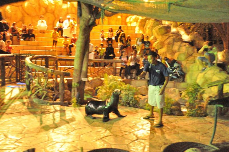 Emirates Park Resort - Aktivite