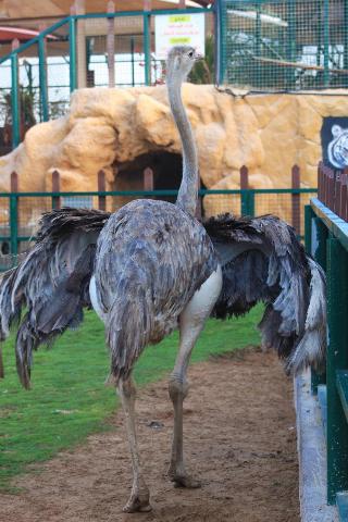 Emirates Park Resort fotoÄŸrafÄ±