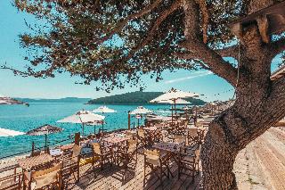 Obonjan Island Resort Glamping Forest lodges fotoÄŸrafÄ±