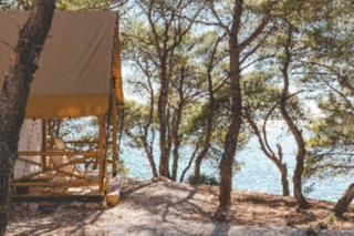 Obonjan Island Resort Glamping Forest lodges fotoÄŸrafÄ±