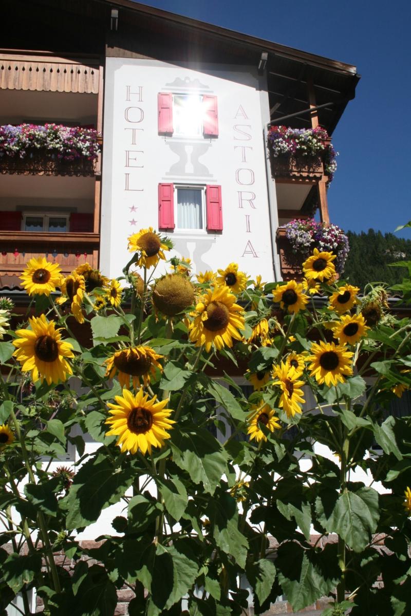 Hotel Astoria - Genel