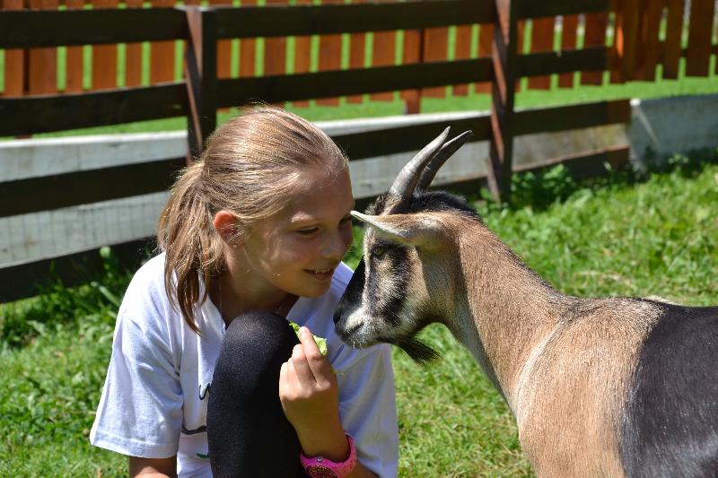 Feriendorf Ponyhof - Genel