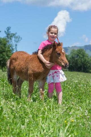 Feriendorf Ponyhof fotoÄŸrafÄ±