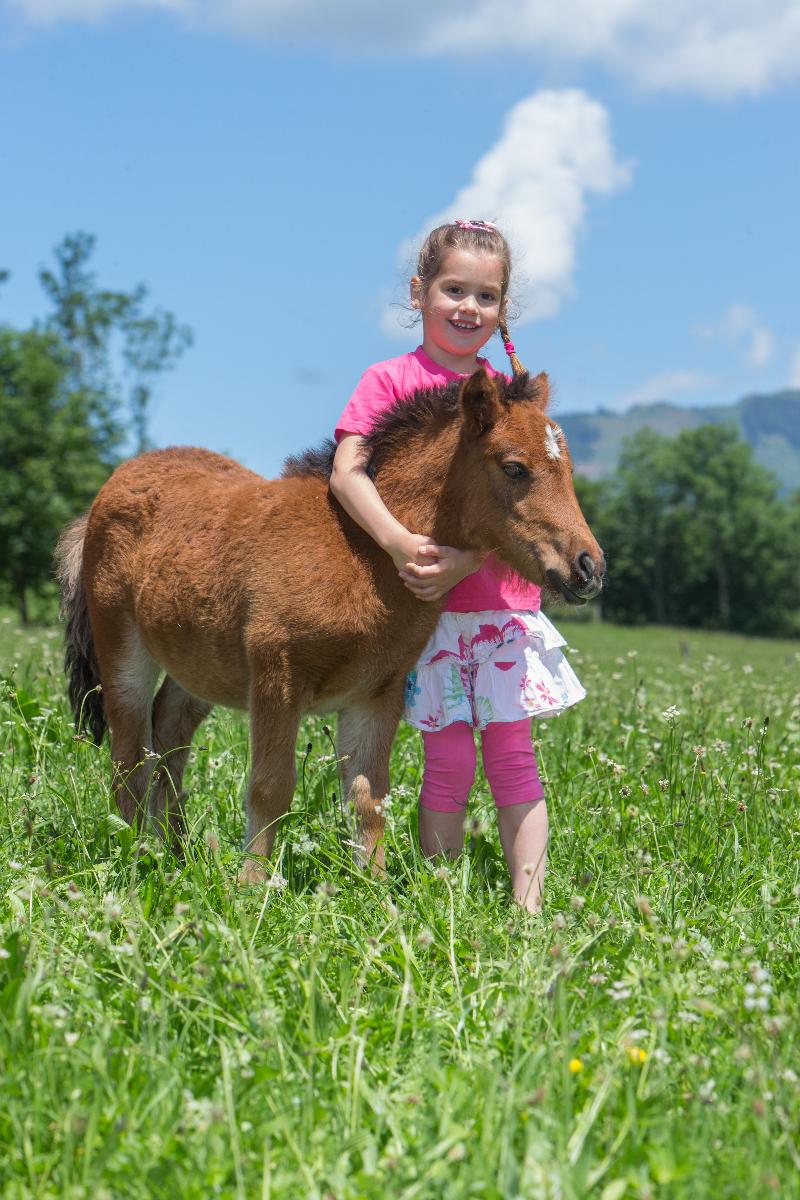 Feriendorf Ponyhof - Genel
