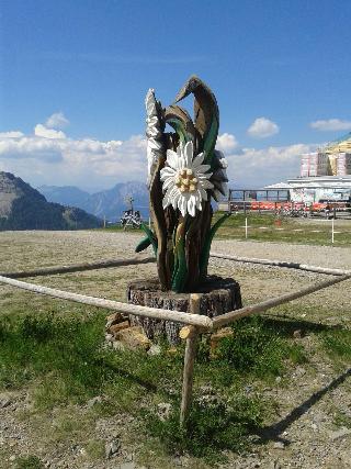 Alpenhuser Marcius fotoÄŸrafÄ±