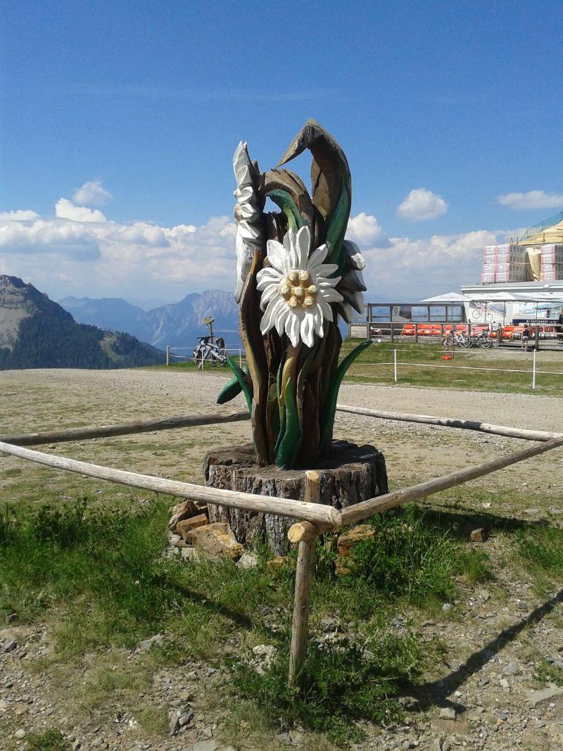 Alpenhuser Marcius - Genel