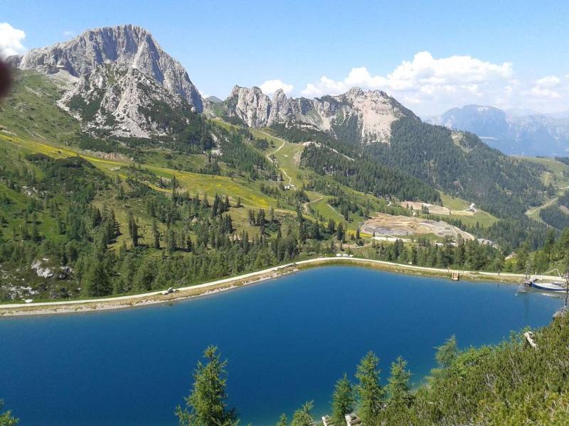 Alpenhuser Marcius - Genel