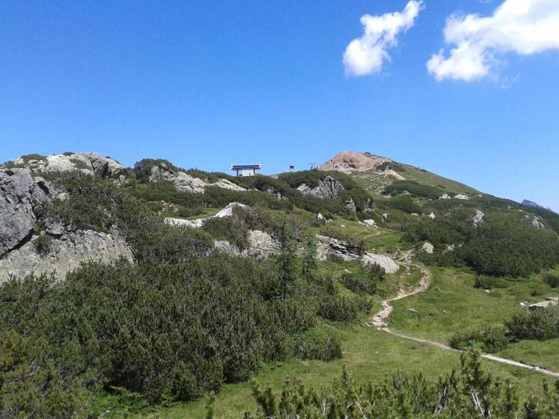 Alpenhuser Marcius - Genel