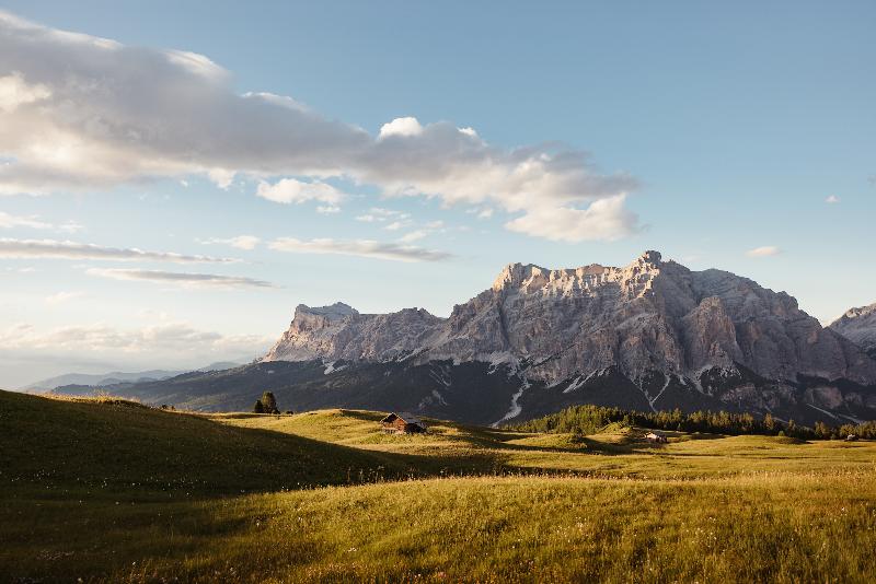 Hotel Diana Dolomites - Genel