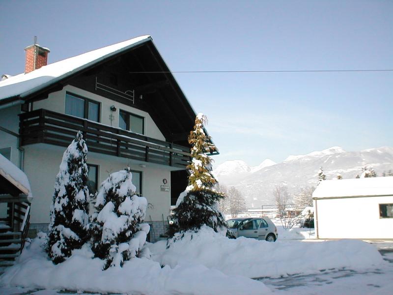 Rooms & Apartments Jana - Genel