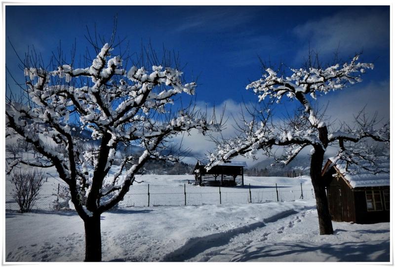 Guest House Zotlar - Genel