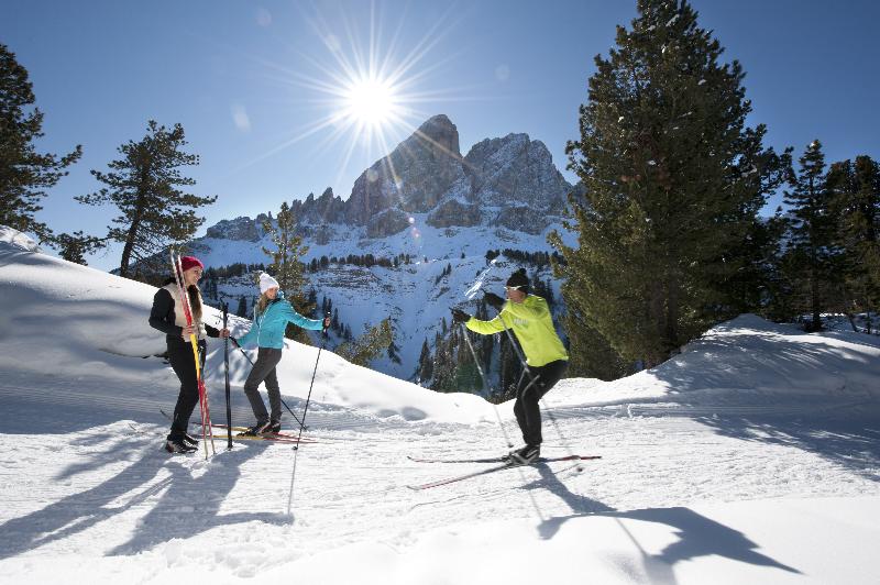 Hotel Chalet Olympia - Genel