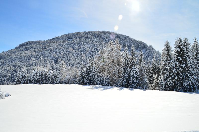 Hotel Chalet Olympia - Genel
