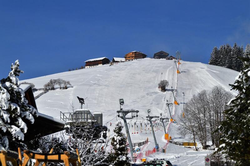 Hotel Chalet Olympia - Genel