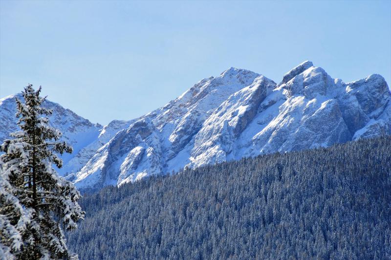Hotel Chalet Olympia - Genel