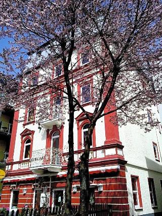 Hotel Traube fotoÄŸrafÄ±