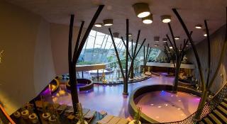 Terme Olimia - Aparthotel Rosa fotoÄŸrafÄ±