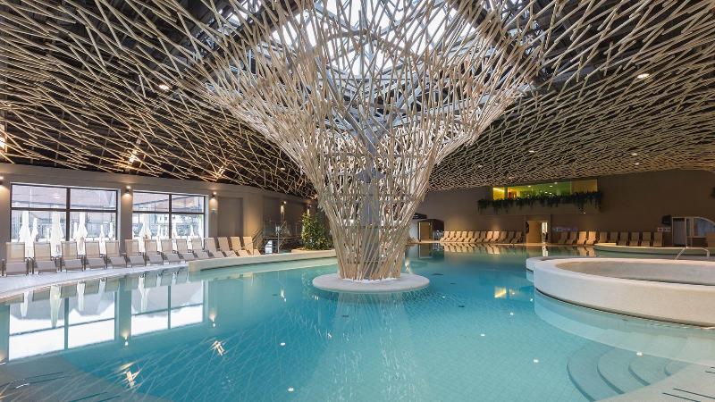 Terme Olimia - Aparthotel Rosa - Havuz