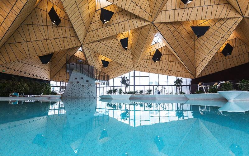Terme Olimia - Aparthotel Rosa - Havuz