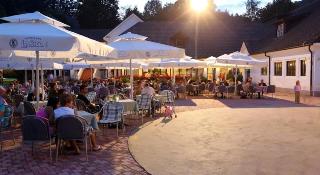 Terme Olimia - Aparthotel Rosa fotoÄŸrafÄ±