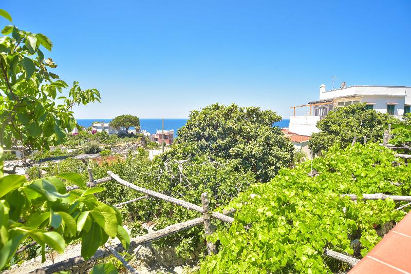 Villa Cimmentorosso - Genel