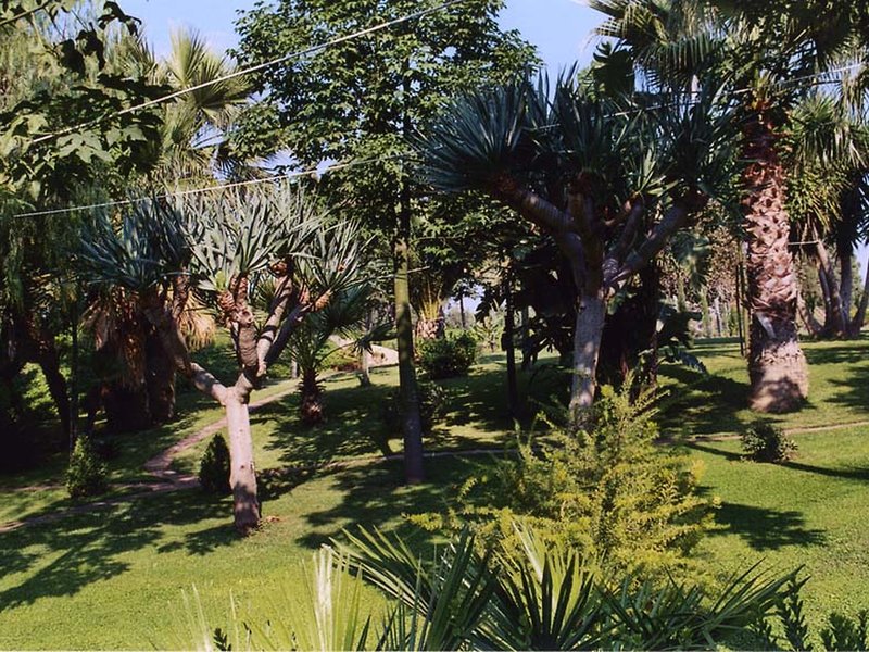 Gelso Bianco - Three Bedroom - Genel