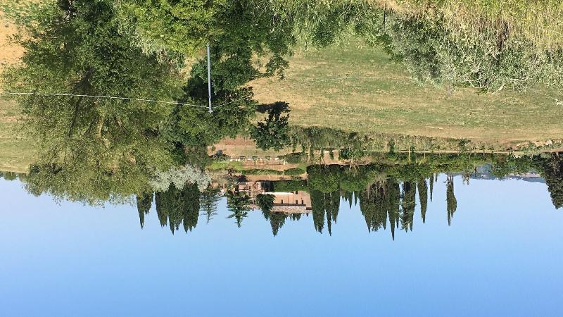 Macciangrosso - One Bedroom - Genel