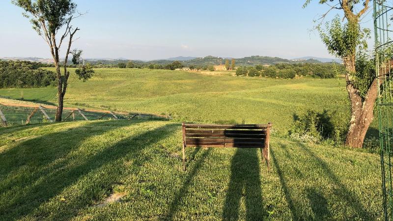 Macciangrosso - One Bedroom - Genel