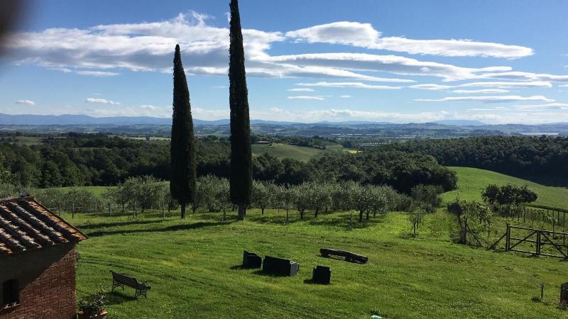 Macciangrosso - One Bedroom - Genel