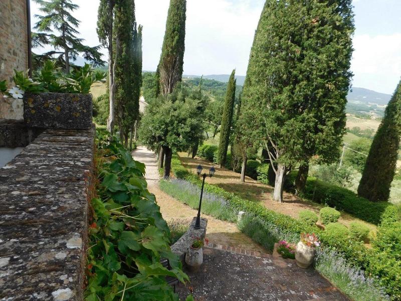 Macciangrosso - One Bedroom - Genel