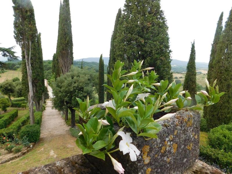 Macciangrosso - One Bedroom - Genel