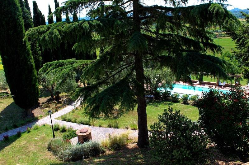 Macciangrosso - One Bedroom - Genel