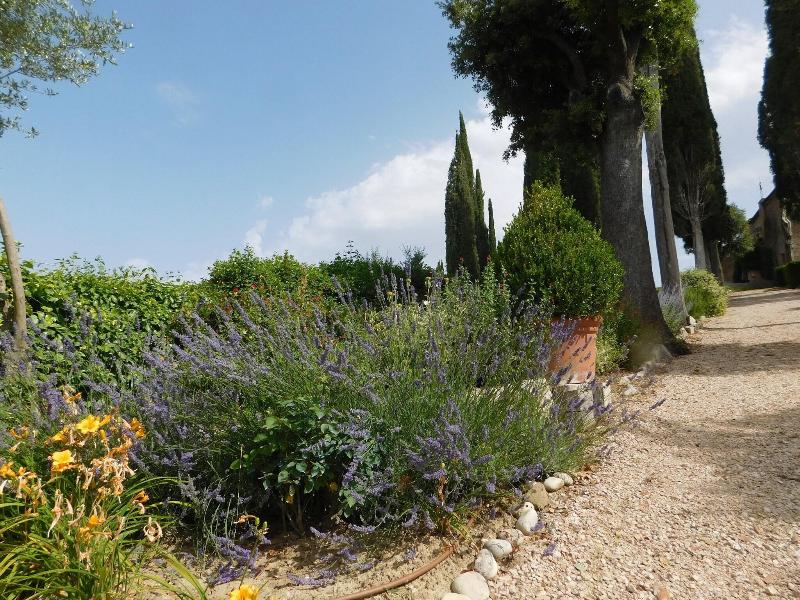 Macciangrosso - One Bedroom - Oda
