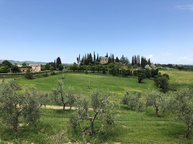 Macciangrosso - One Bedroom - Teras