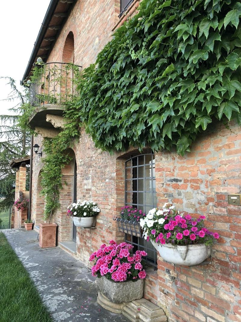 Macciangrosso - One Bedroom - Teras
