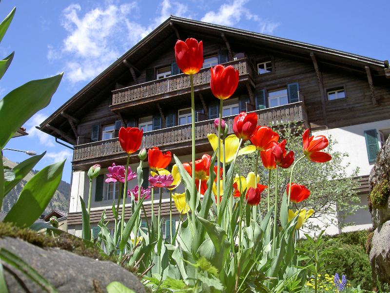 Sternen 5A - Three Bedroom - Genel