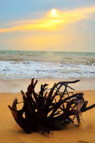 Le Menara Khao Lak fotoÄŸrafÄ±