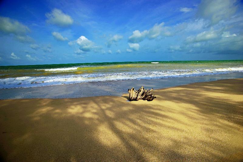Le Menara Khao Lak - Plaj