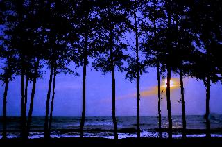 Le Menara Khao Lak fotoÄŸrafÄ±