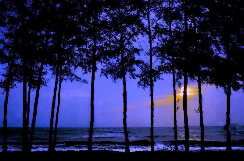 Le Menara Khao Lak - Plaj