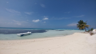 The Crown Beach Hotel fotoÄŸrafÄ±