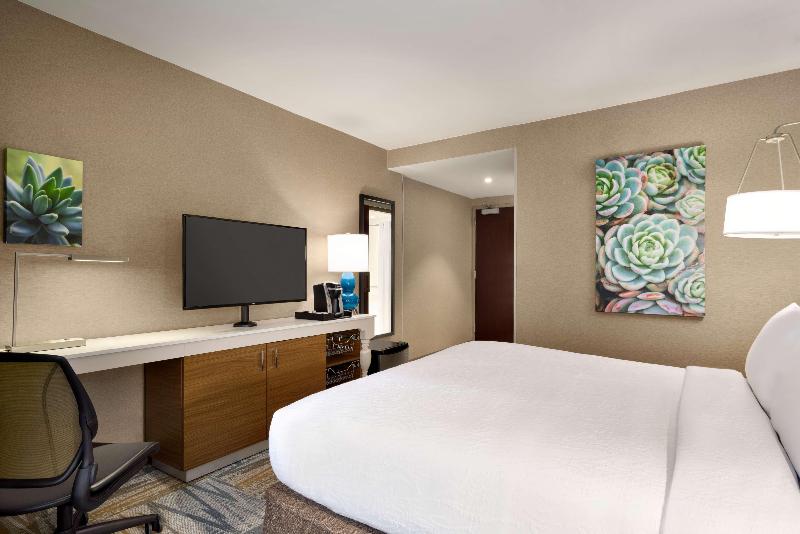 Hilton Garden Inn New York Times Square South - Oda