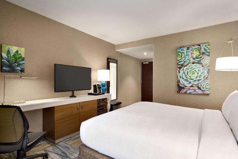 Hilton Garden Inn New York Times Square South - Oda