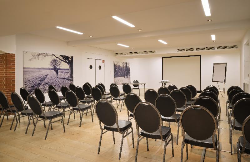 Hotel Mannheimer Hof – Leonardo Limited Edition - Toplantı