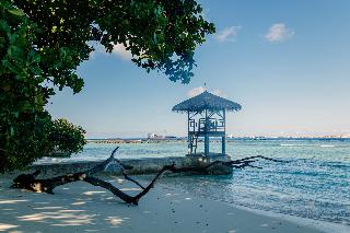 The Vinorva Maldives fotoÄŸrafÄ±