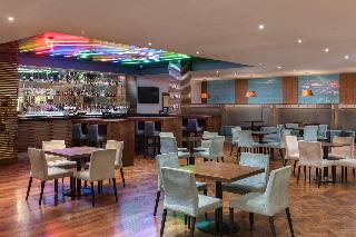 Renaissance London Heathrow fotoÄŸrafÄ±