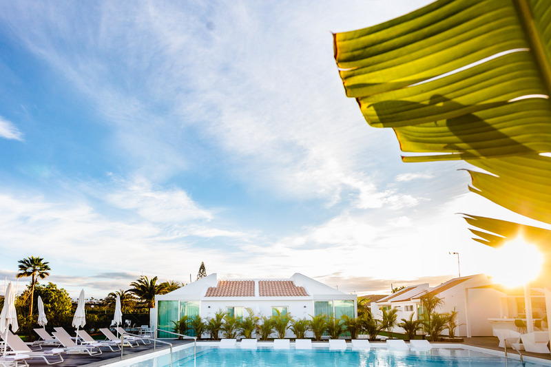 Seven Hotel & Wellness-Gay Men Only - Havuz